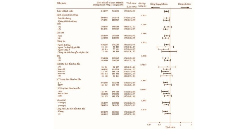 Hình 14. Các phân tích dưới nhóm về thời gian đến khi xảy ra lần đầu một trong hai biến cố được thẩm định là tử vong do bệnh tim mạch hoặc nhập viện do suy tim