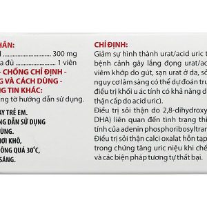 Angut 300 giảm sự hình thành urat/acid uric, trị sỏi thận (10 vỉ x 10 viên)