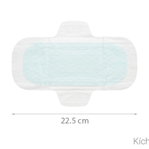 Băng vệ sinh Laurier Super Slimguard kháng khuẩn siêu siêu mỏng cánh gói 16 miếng