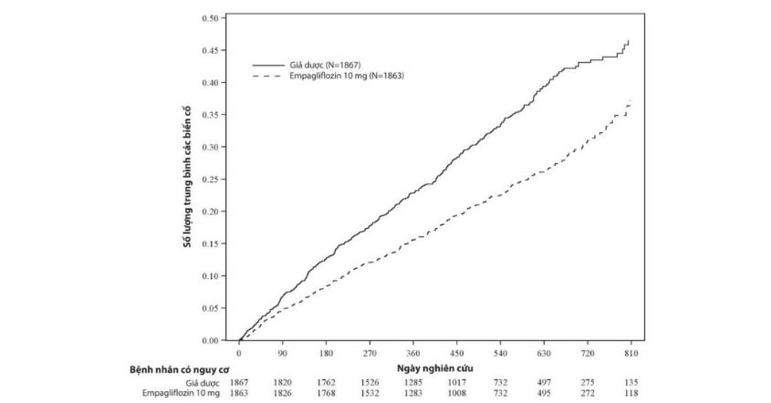 Hình 8. Thời gian đến khi xảy ra biến cố nhập viện do suy tim được thẩm định