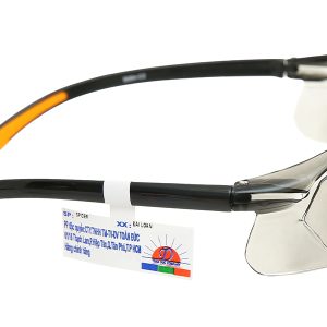 Kính bảo hộ Spider S094-C2