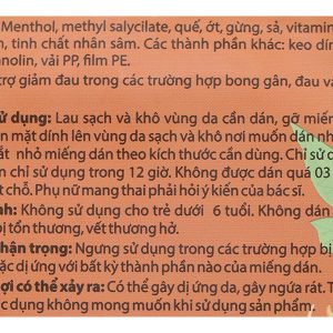 Miếng dán giảm đau thảo dược Danasa ginseng (7.5cm x 10cm) hộp 20 gói x 5 miếng