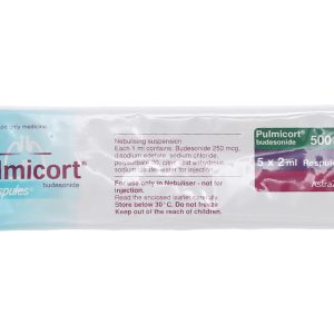 Hỗn dịch khí dung Pulmicort Respules 500mcg/2ml trị hen phế quản (20 ống x 2ml)