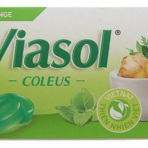 Viên ngậm Viasol Húng Chanh hỗ trợ giảm ho, đau rát họng hộp 100 viên